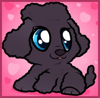 350x344 how to draw a poodle puppy, poodle puppy, step - Poodle Cartoon Drawing
