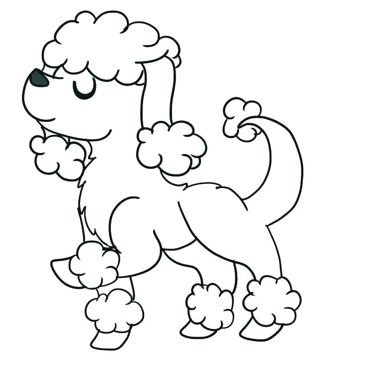 736x736 Drawing Poodles Baby For Free Download - Poodle Cartoon Drawing