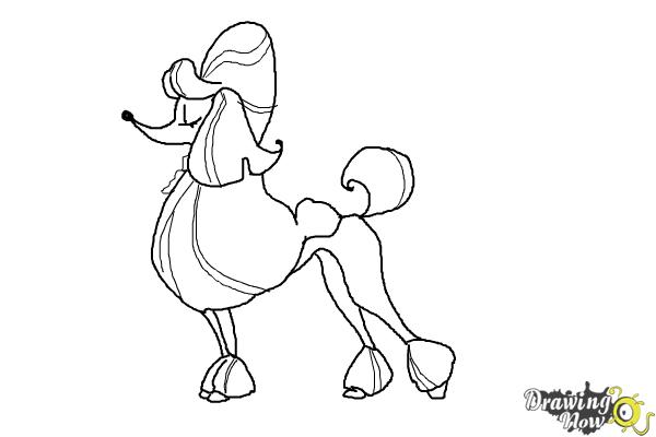 600x400 how to draw a poodle step - Poodle Cartoon Drawing