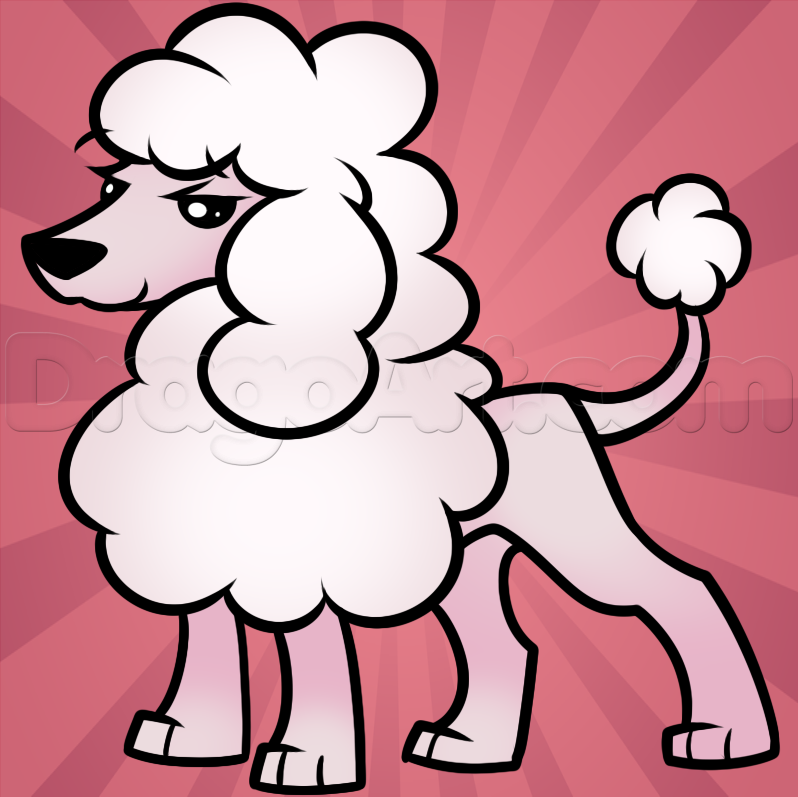 798x797 how to draw a toy poodle, step - Poodle Cartoon Drawing
