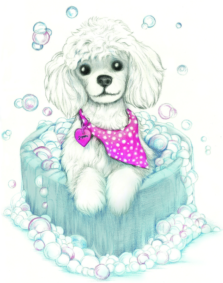 900x1145 my sophie as a cartoon poodle things i love poodle, poodle - Poodle Cartoon Drawing