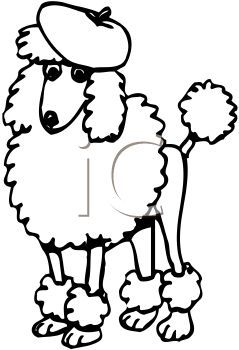 239x350 poodle art poodle, poodle drawing - Poodle Cartoon Drawing