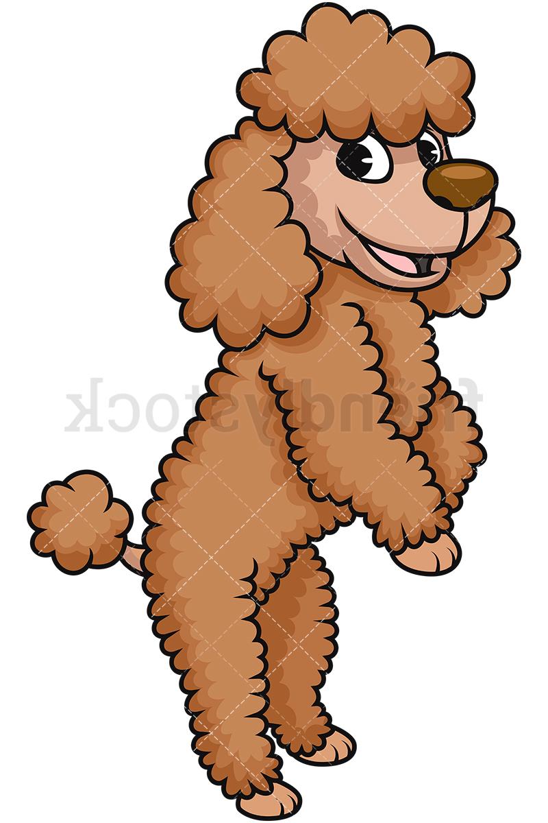 800x1200 top frisky miniature poodle dog cartoon clipart drawing - Poodle Cartoon Drawing