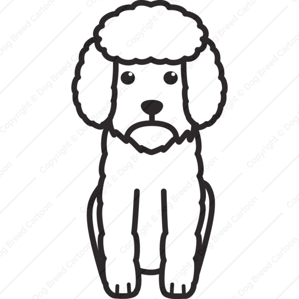 600x600 toy poodle dog breed cartoon download now! - Poodle Cartoon Drawing