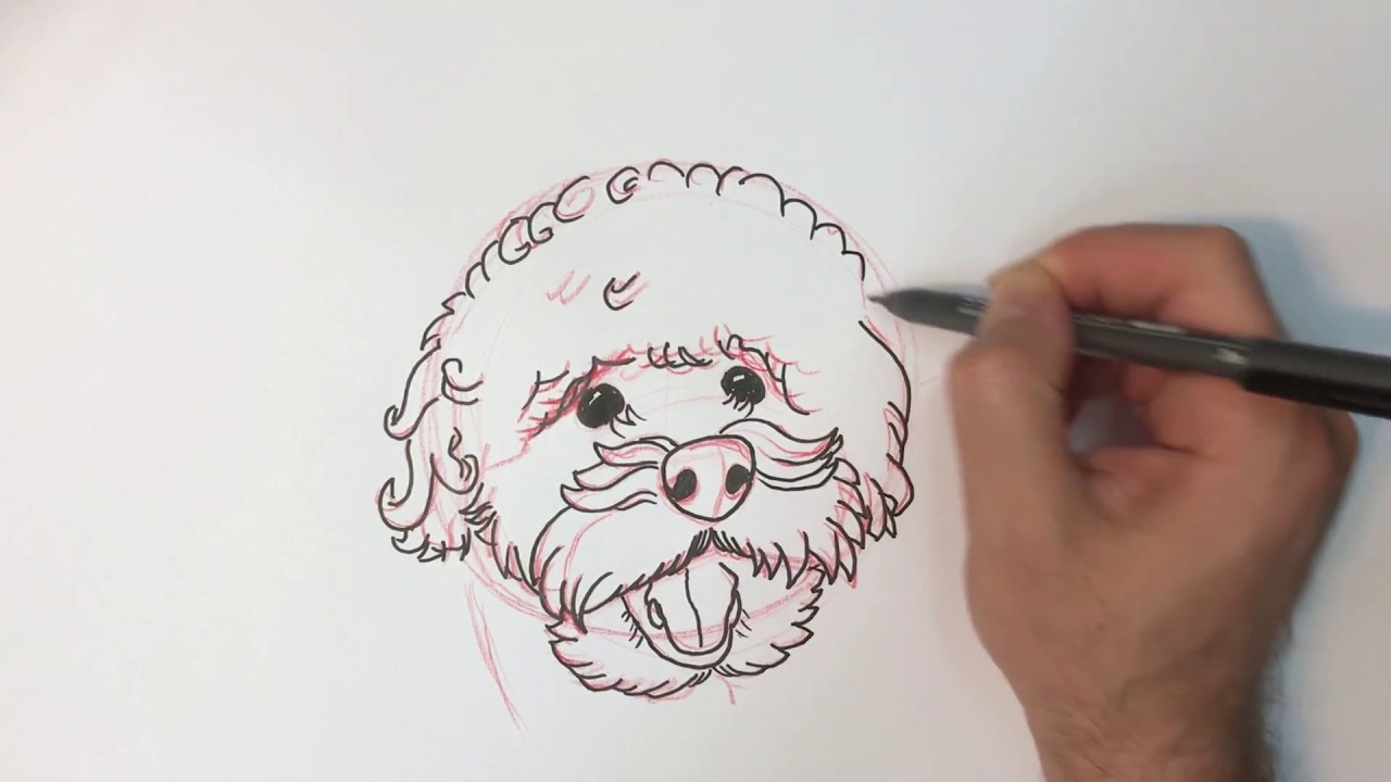 1280x720 How To Draw A Dog - Poodle Cartoon Drawing