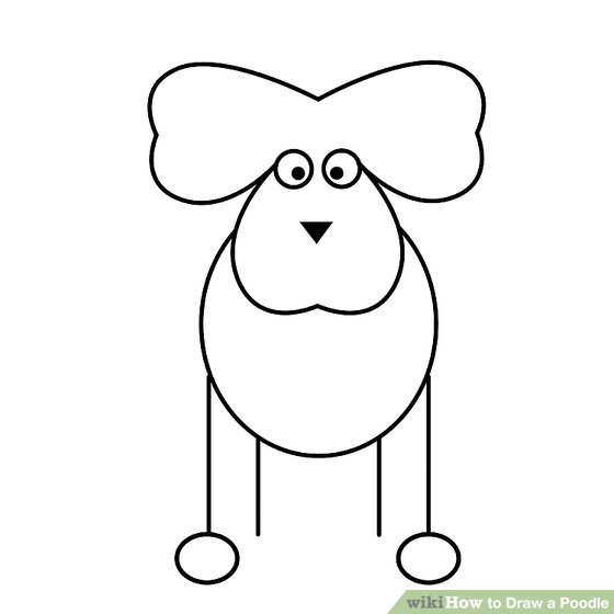 560x560 how to draw a poodle - Poodle Drawing