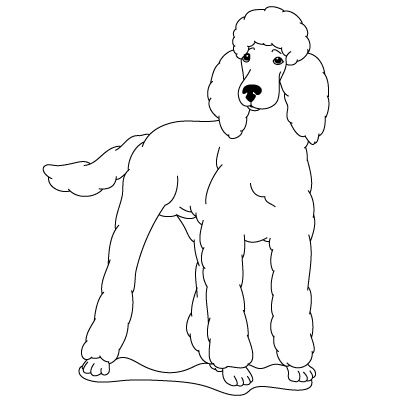 400x400 how to draw a poodle fun drawing lessons for kids adults je - Poodle Drawing