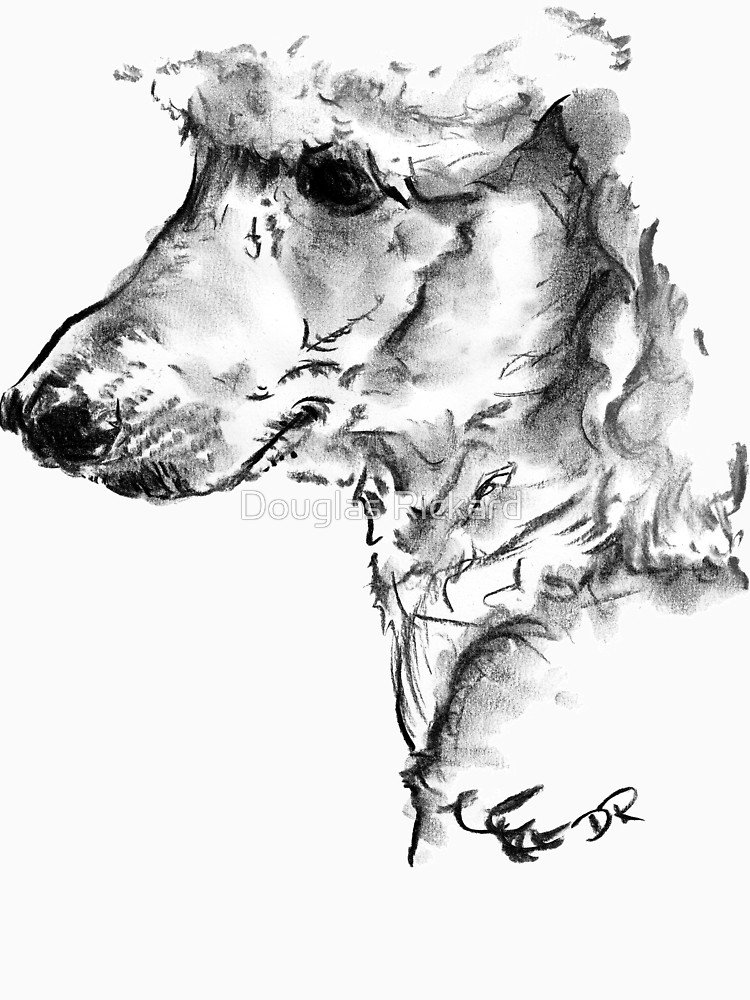 750x1000 poodle drawing women's relaxed fit t shirt - Poodle Drawing