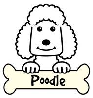 190x200 stunning poodle other drawings and illustrations for sale - Poodle Drawing
