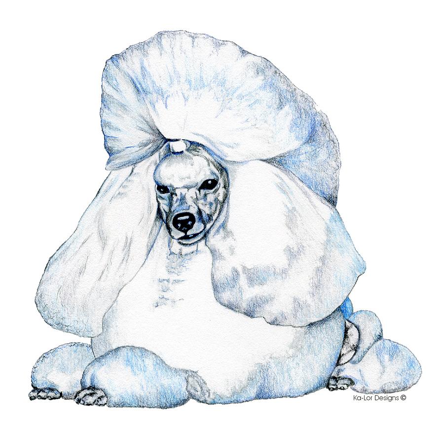 900x879 White Poodle Drawing - Poodle Drawing