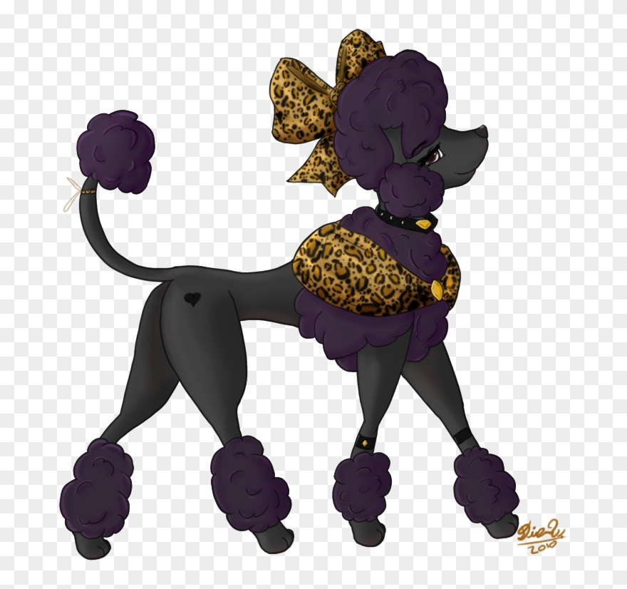 880x826 Dessert - Poodle Drawing