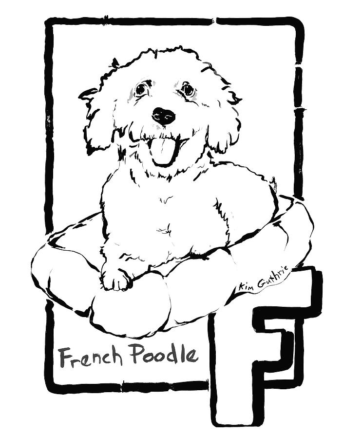 704x900 Dog Drawing Poodle Painting - Poodle Line Drawing