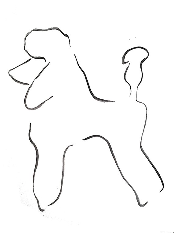 Poodle Line Drawing at Explore collection of