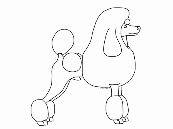 Poodle Line Drawing at PaintingValley.com | Explore collection of