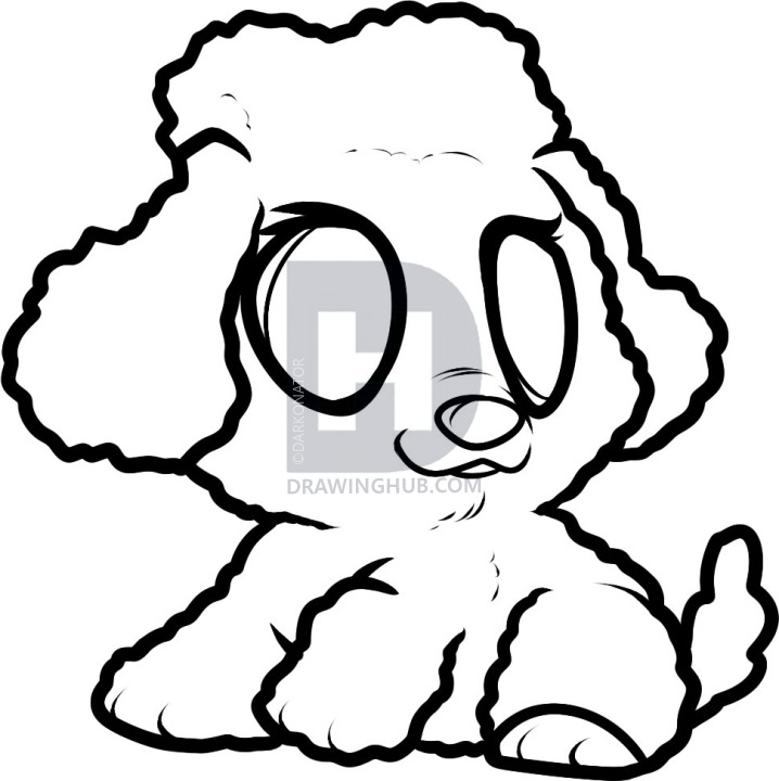 718x720 how to draw a poodle puppy, poodle puppy, step - Poodle Line Drawing
