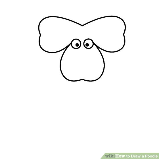 560x560 How To Draw A Poodle - Poodle Line Drawing