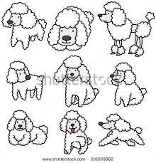 220x229 Image Result For Poodle Line Drawing Art Sketch Line N Wash - Poodle Line Drawing