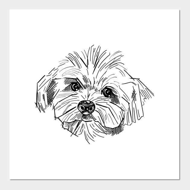 630x630 Line Art Poodle - Poodle Line Drawing