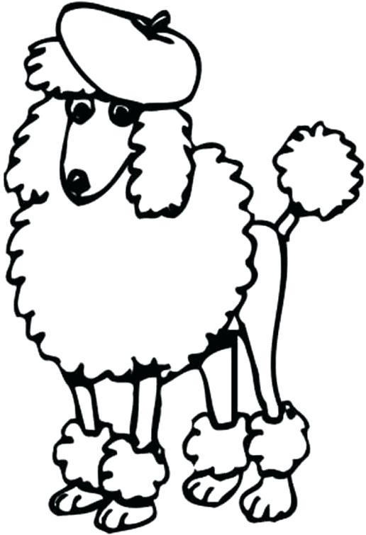 516x755 Poodle Line Drawing At Free For Personal Use Coloring Sheets Skirt - Poodle Line Drawing