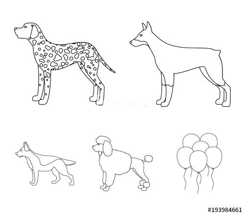 500x438 Poodle Outline Dog Painted With Line On White Background Red Dog - Poodle Line Drawing