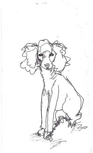 388x640 Poodles - Poodle Line Drawing