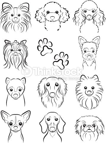 357x479 Vector Art Dog Line Drawing Cartooning Dog - Poodle Line Drawing