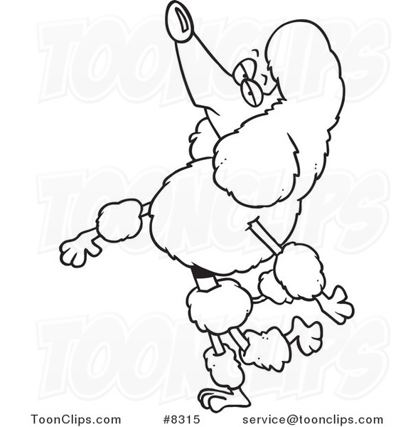 581x600 Cartoon Black And White Line Drawing Of A Snobbish Poodle Walking - Poodle Line Drawing