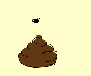 300x250 fly around poop drawing - Poop Drawing