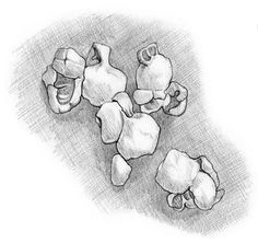 Popcorn Drawing