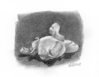 320x251 Laurel Neustadter Illustration Edm - Popcorn Kernel Drawing