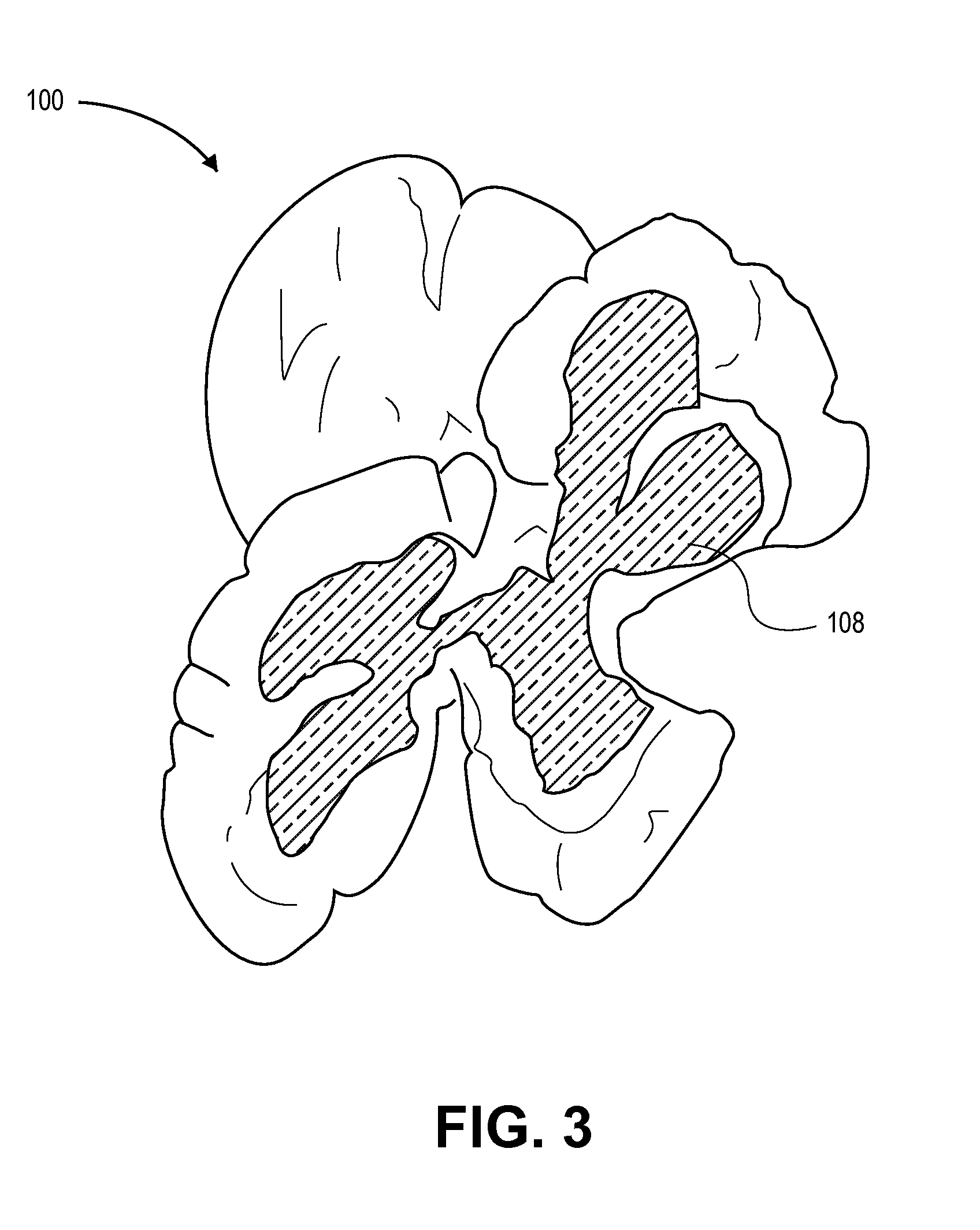 1696x2128 Patent - Popcorn Kernel Drawing