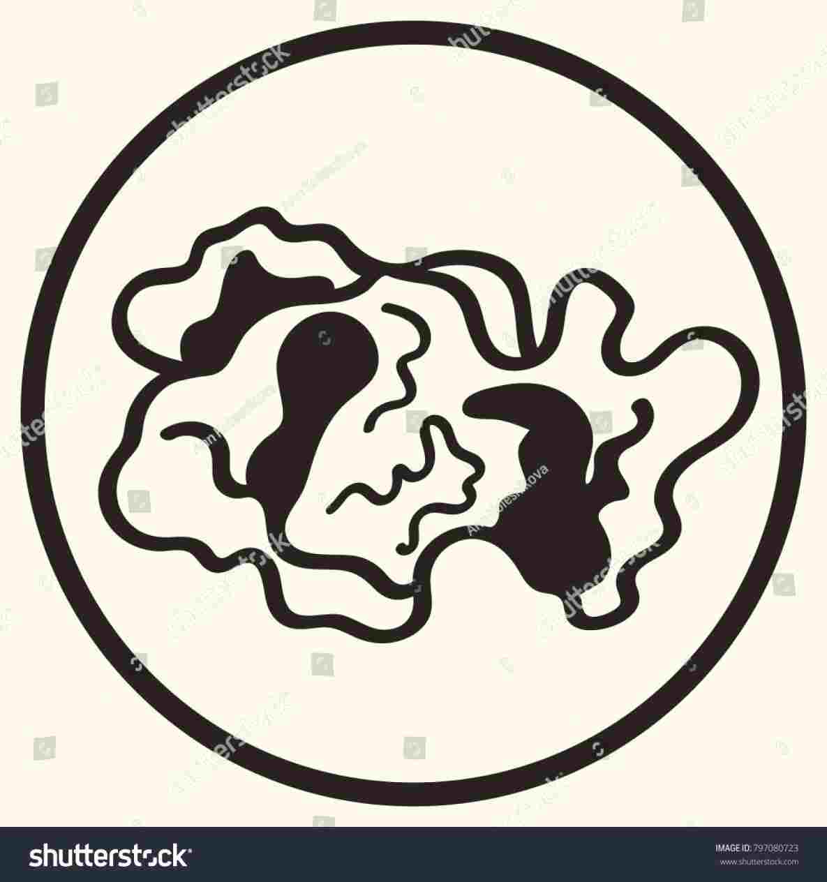 1185x1264 Free Kernel Template Download Clip Art Rhclipartlibrarycom Free - Popcorn Kernel Drawing