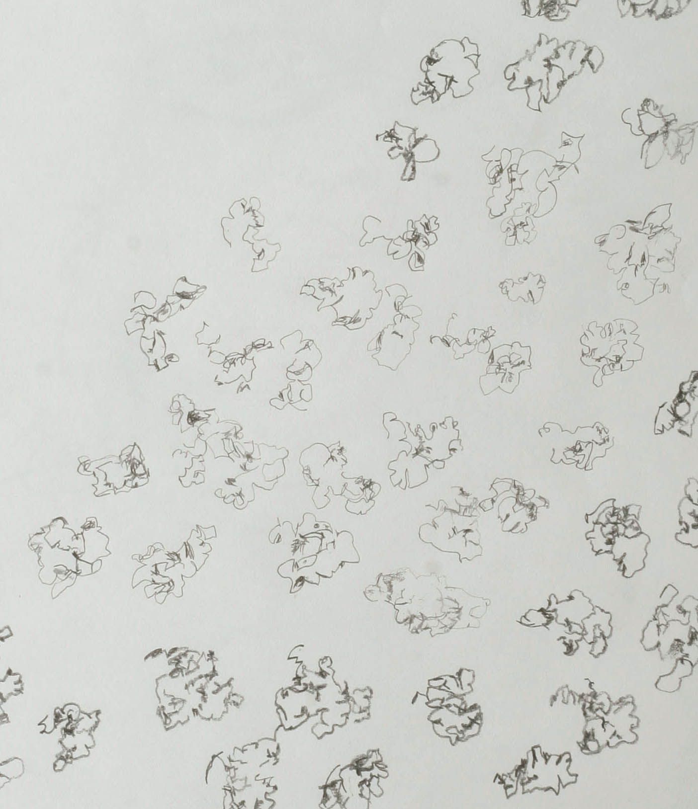 1404x1628 popcorn blind contour high school art education drawings - Popcorn Line Drawing