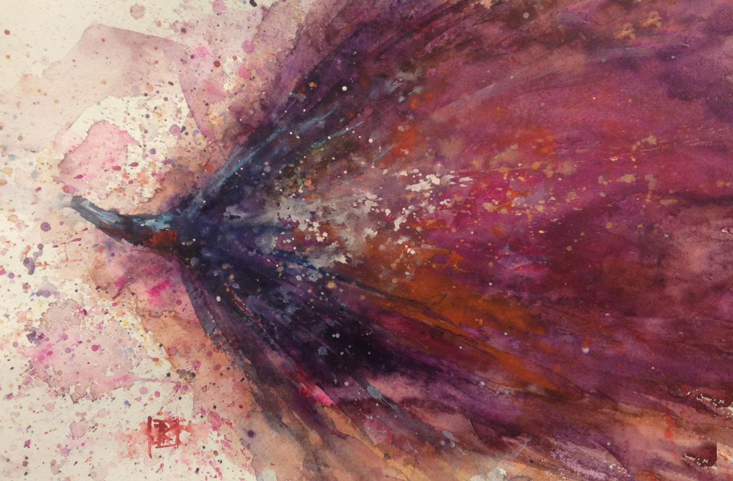 1440x944 drawing flies drawing flies and fish the popsicle - Popsicle Drawing