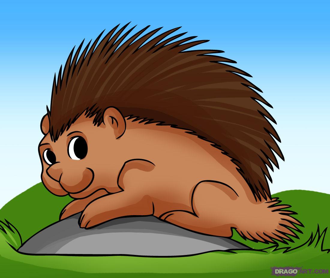 Porcupine Drawing at Explore collection of