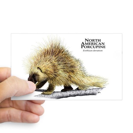 460x460 Porcupine Drawing Stickers - Porcupine Drawing