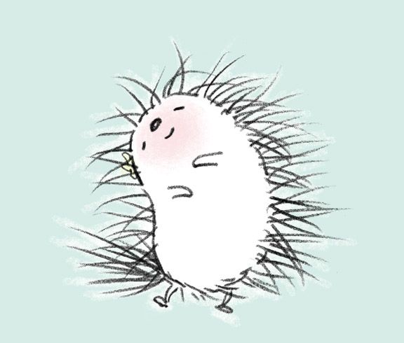 576x490 Cute Porcupine Drawing - Porcupine Drawing