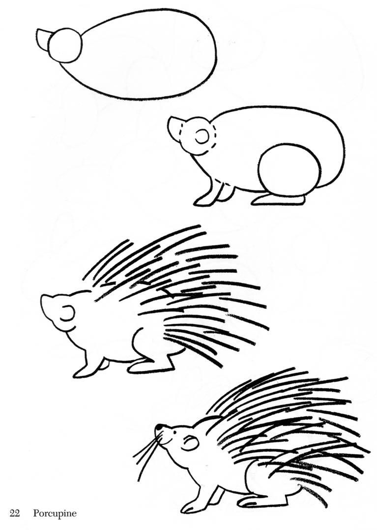 Porcupine Drawing at PaintingValley.com | Explore collection of ...