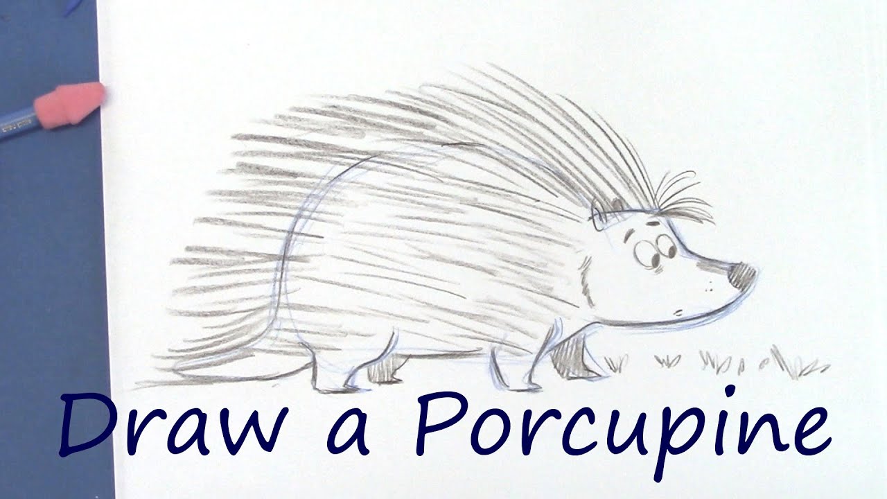 1280x720 Draw A Cute Porcupine - Porcupine Drawing