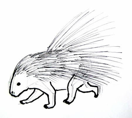 450x404 How To Draw A Porcupine - Porcupine Line Drawing
