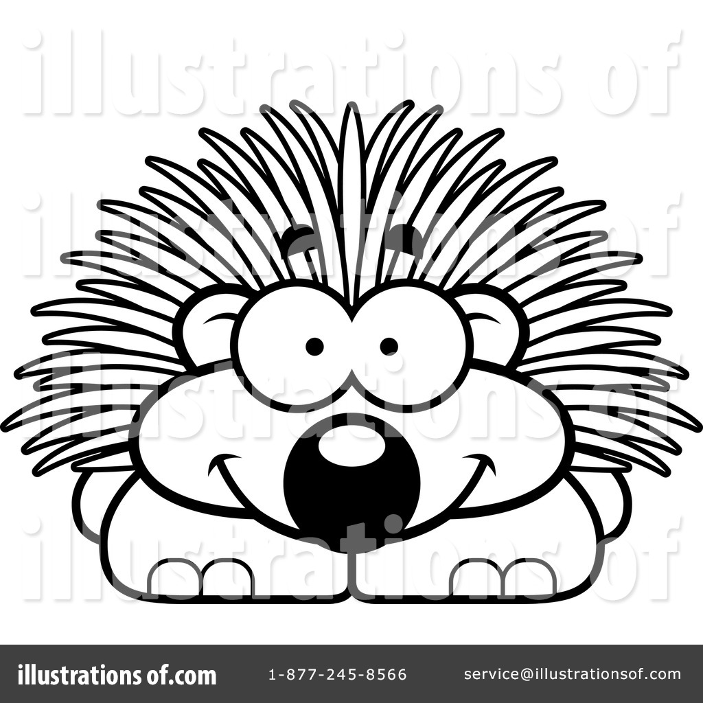 1024x1024 Porcupine Clipart - Porcupine Line Drawing
