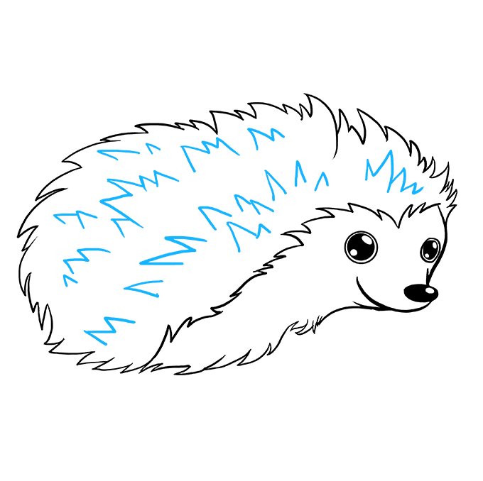 680x678 Porcupine Drawn Transparent Png Clipart Free Download - Porcupine Line Drawing