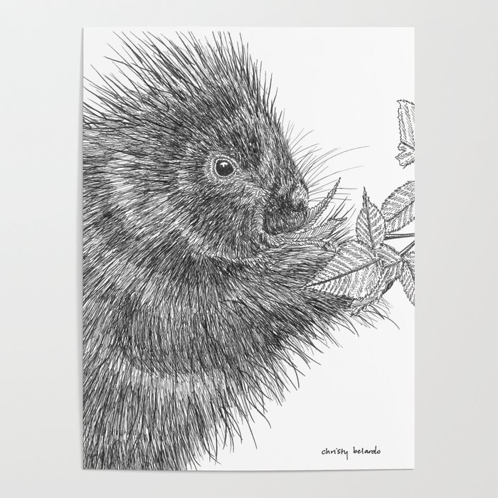 700x700 Porcupine Poster - Porcupine Line Drawing