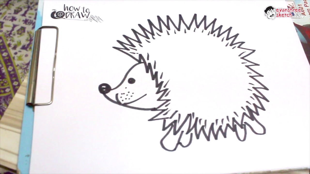 Porcupine Line Drawing at PaintingValley.com | Explore collection of ...