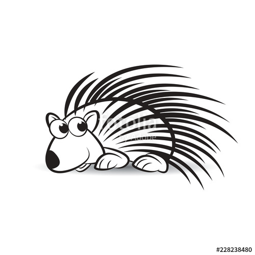 500x500 Black And White Porcupine On Smooth Shadow Vector Drawing Stock - Porcupine Line Drawing
