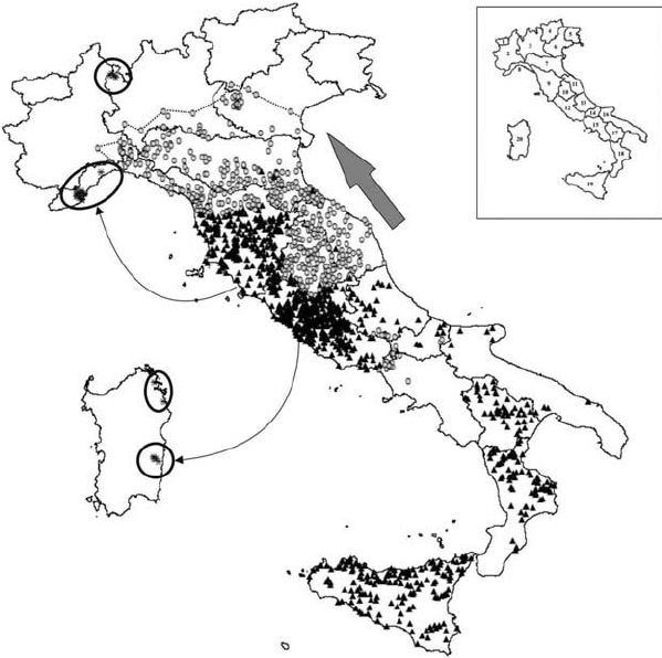 599x596 distribution of crested porcupine - Porcupine Line Drawing