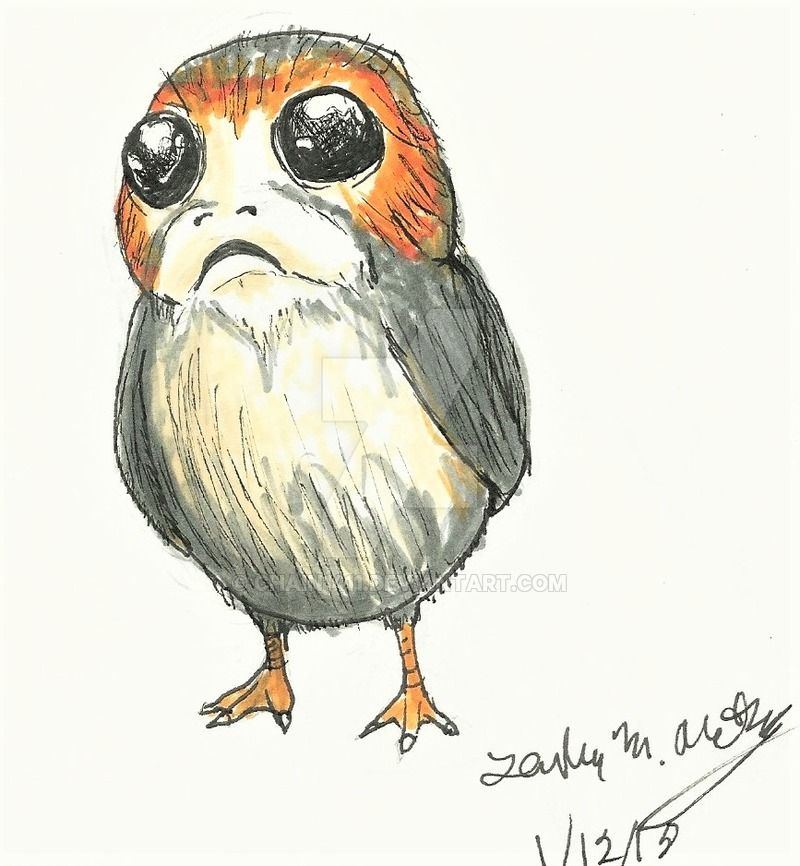 Porg Drawing at PaintingValley.com | Explore collection of Porg Drawing