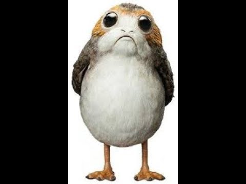 480x360 speed draw - Porg Drawing