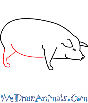 300x350 how to draw a pig - Pork Drawing