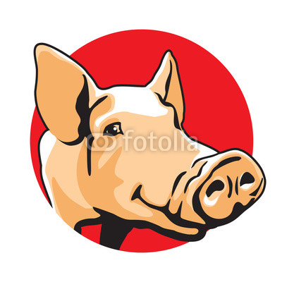 400x400 pig vector illustration color drawing of single pork animal - Pork Drawing